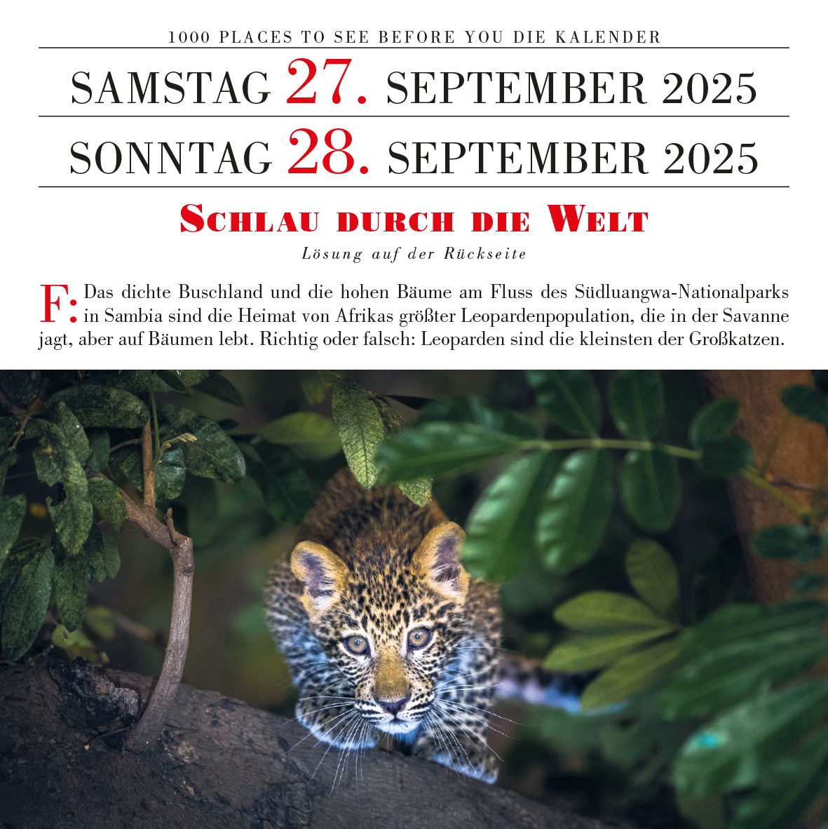 1000Pl_Kalender_2025_978-3-96141-759-9_Einzelseiten 5