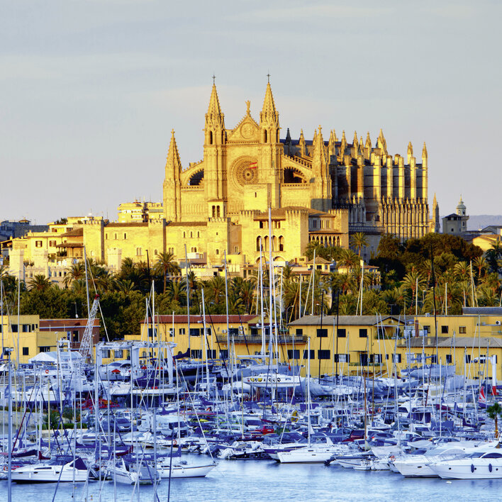 Die Kathedrale La Seu in Palma de Mallorca, umgeben von Yachten im Hafen und Palmen im Abendlicht.