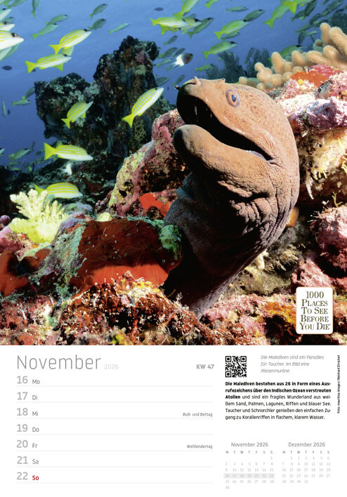 Bunte Korallenriffe mit einer Muräne und verschiedenen Fischen im klaren Wasser.